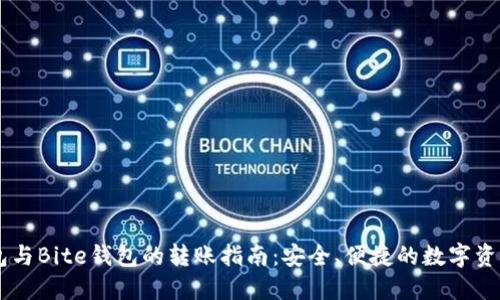 IM钱包与Bite钱包的转账指南：安全、便捷的数字资产管理